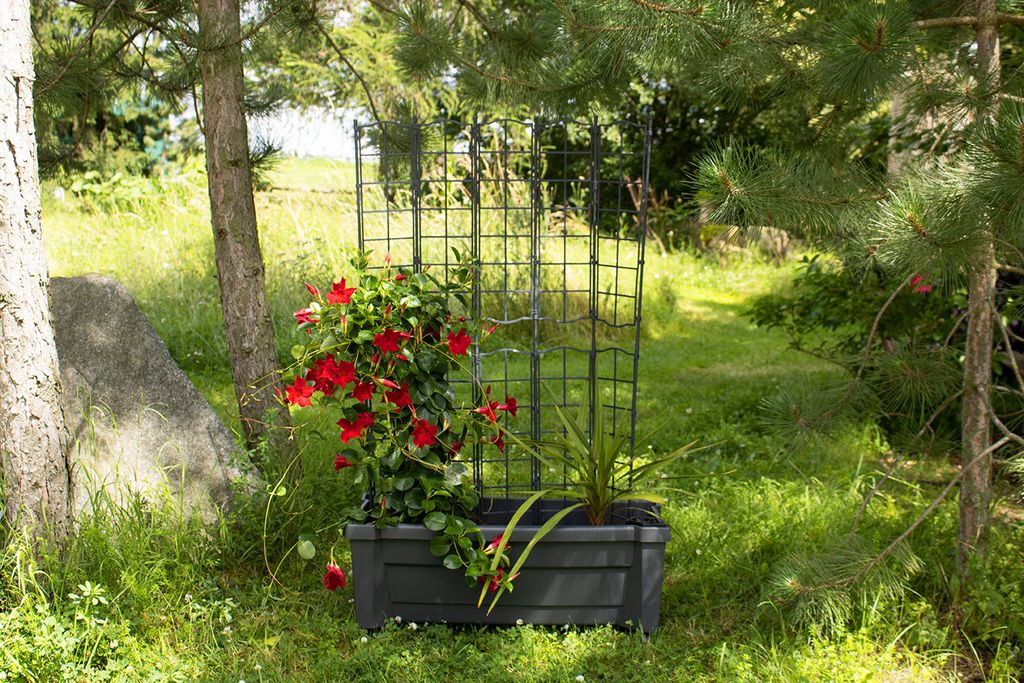 KHW Calypso Pflanzkasten auf Rollen mit Bewässerungssystem aus hochwertigem Kunststoff mit modularem Spalier, wetter-/UV-beständig, Farbe: Anthrazit