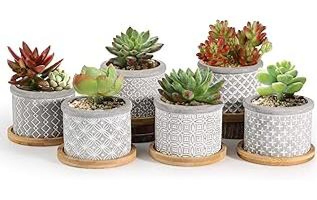 T4U 6cm Blumentopf Klein, Sukkulenten Töpfe, Zement Pflanzentopf, Sukkulenten Topf, Mini Blumenübertopf mit Bambus Untersetzer, Kleiner Blumentö...