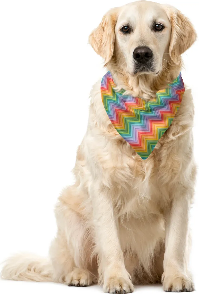 ABAKUHAUS Bandana astratta per animali domestici, zigzag colorati e moderni, 40x40 cm, multicolore