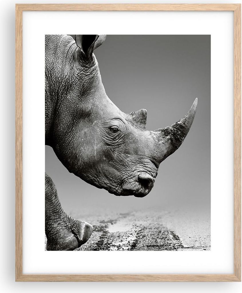 Gerahmtes Poster - Rahmen in heller Eiche - Nashorn Monochrom Tier - 40x50 cm - Wand Bild - Wanddeko - Wandbilder - Kunstposter - Wandposter - Bild...