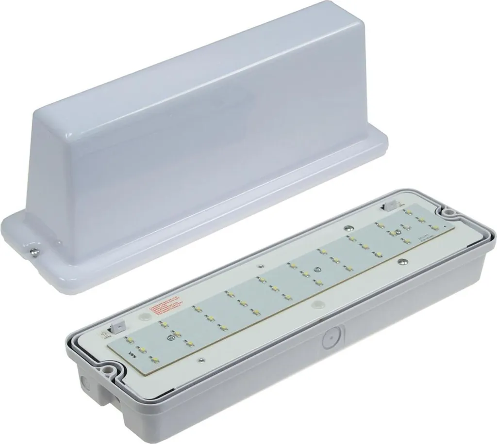Luminaire d'Évacuation LED IP65 : Sécurisez vos Issues de Secours