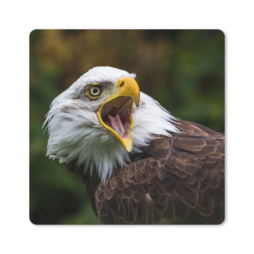 MuchoWow Mauspad Mousepad Ein krächzender Weißkopfseeadler 20x20 cm - Mousepads - Maus Mat - Pad - Mausunterlage - Desk Mat - Bureauartikeln