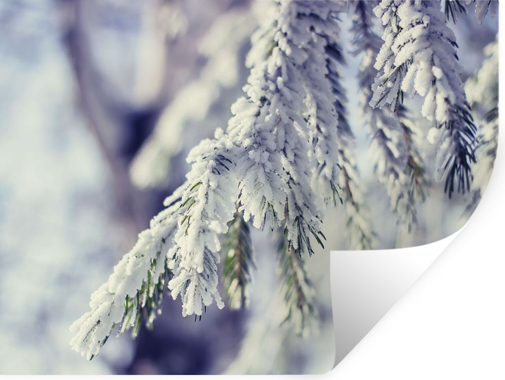 MuchoWow Wandtattoo Wandsticker Wandaufkleber Winter - Tannenbaum - Schnee - Ländlich 40x30 cm Selbstklebend und Repositionierbar - Faltenfrei