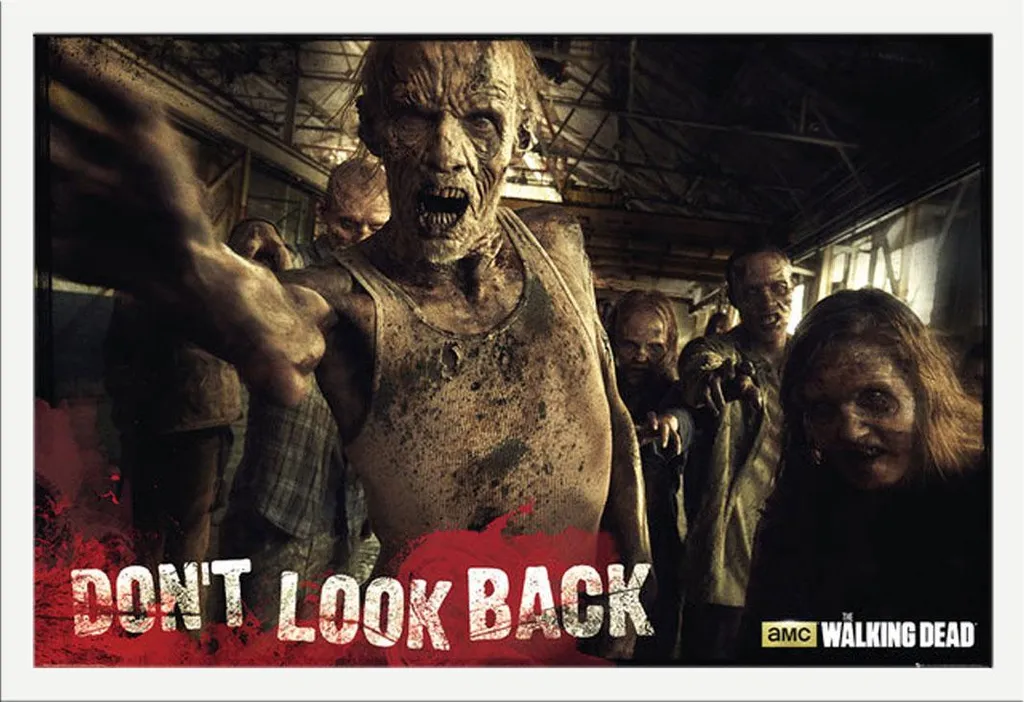 Affiche encadrée Walking Dead Zombies Cadre Photo Blanc Shinsuke 61x91cm