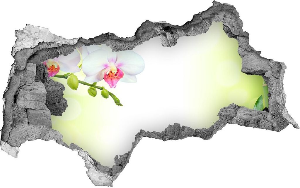 Selbstklebender Loch-3D-Aufkleber 95x73 cm Orchidee und Bambus