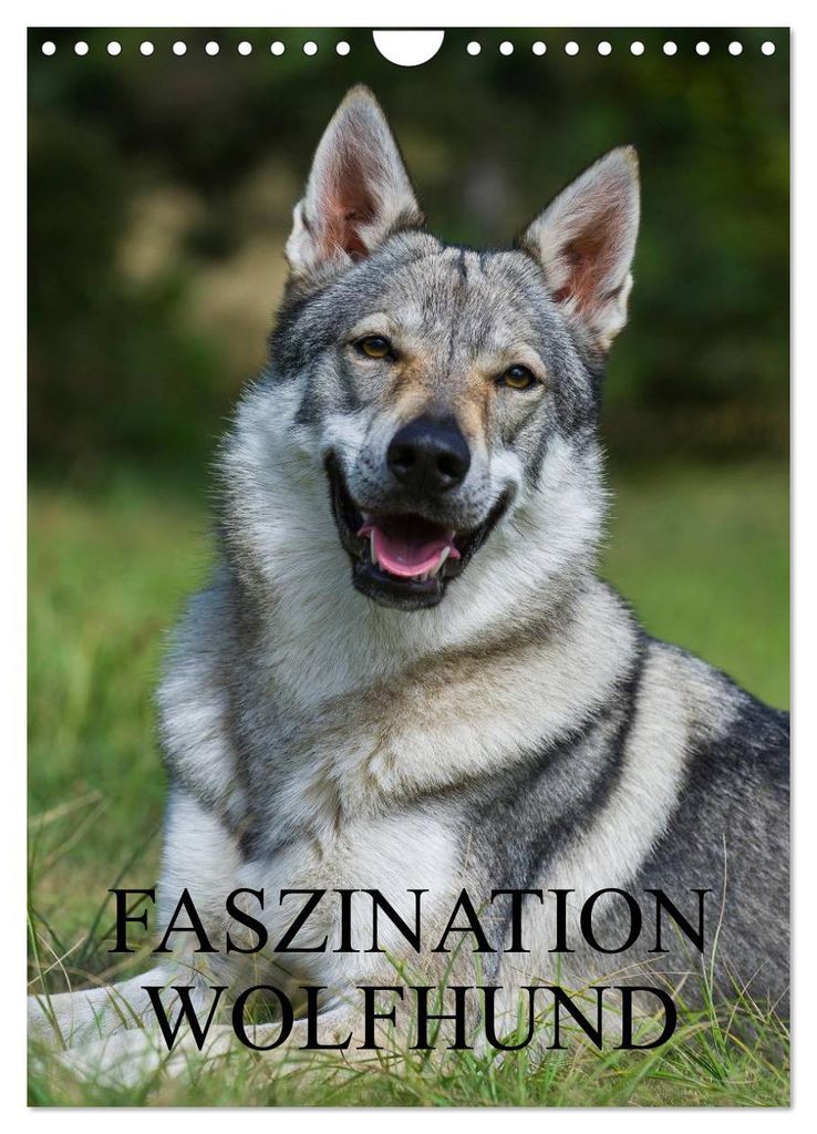 Faszination Wolfhund (Wandkalender 2027 DIN A4 hoch), CALVENDO Monatskalender