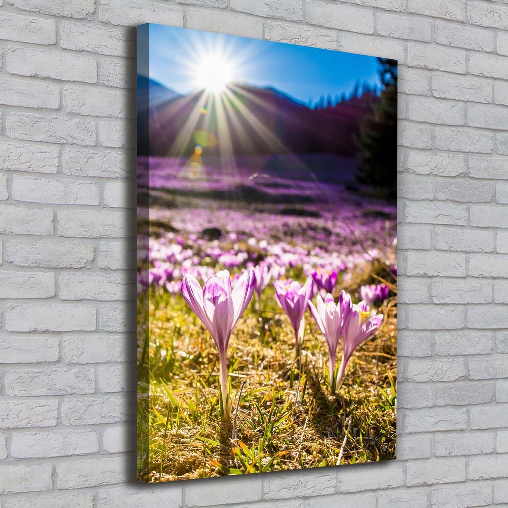 Tulup Leinwandbild - 70x100cm - Wandkunst - Drucke auf Leinwand - Leinwanddruck - Wohnzimmer Wanddekoration XXL - Wohnung Deko Kunstdrucke - Land...
