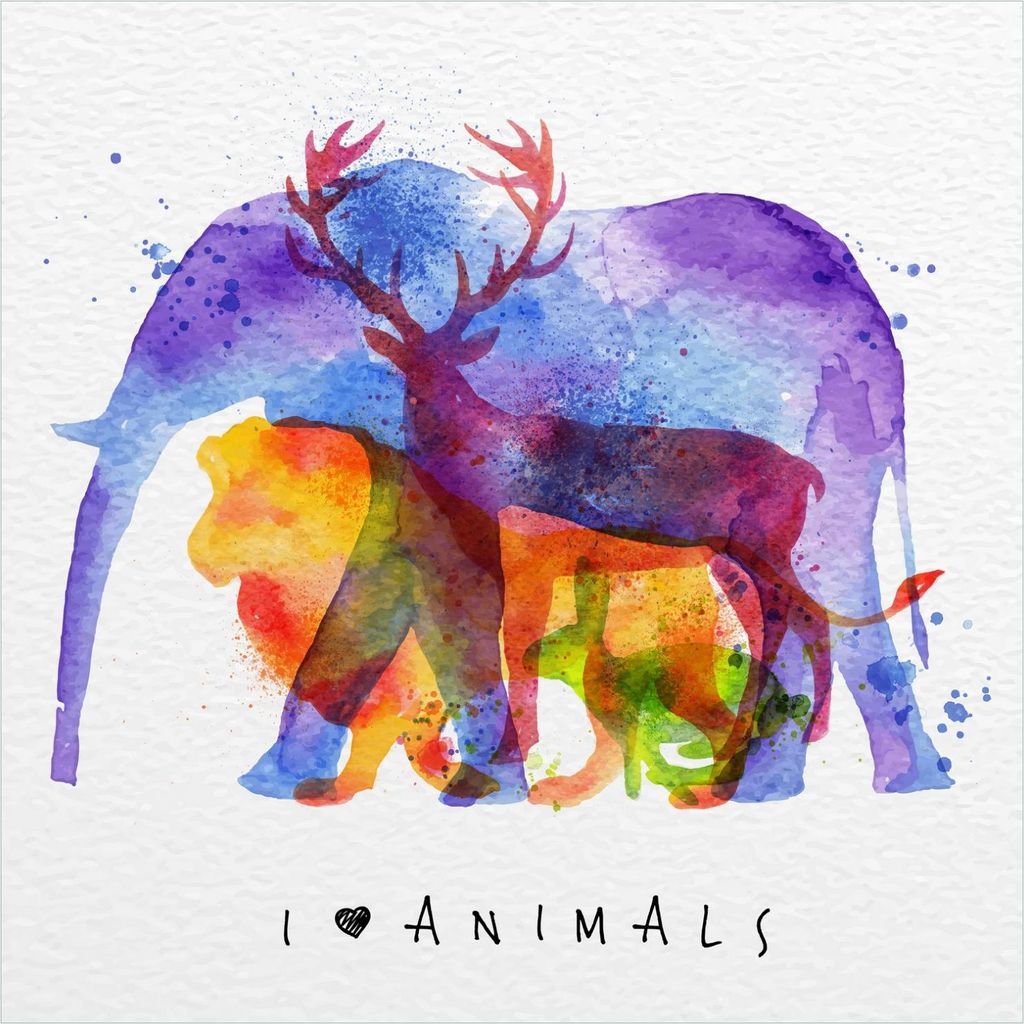 Wallario Memoboard Magnettafel aus Glas, Größe 50 x 50 cm, Motiv Farbenvielfalt der Tierwelt