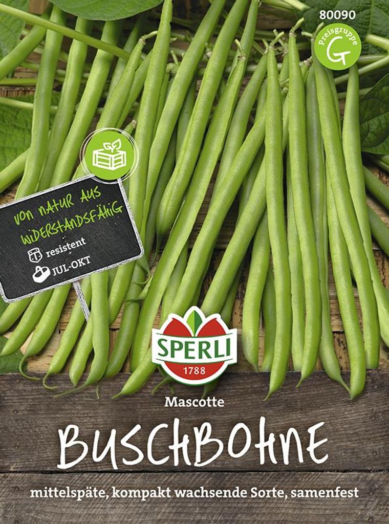 Buschbohne Mascotte | Buschbohnensamen von Sperli