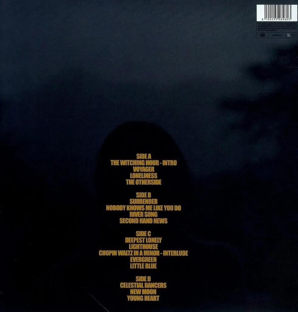 Vinyle Birdy Young Heart 2 LP - Double Album 45 Tours Musique Folk - 2