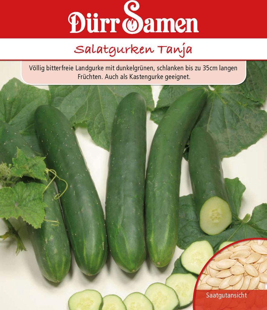 Artikelbild 1 von 'Salatgurke Tanja' aus der Kategorie Salatgurkensamen