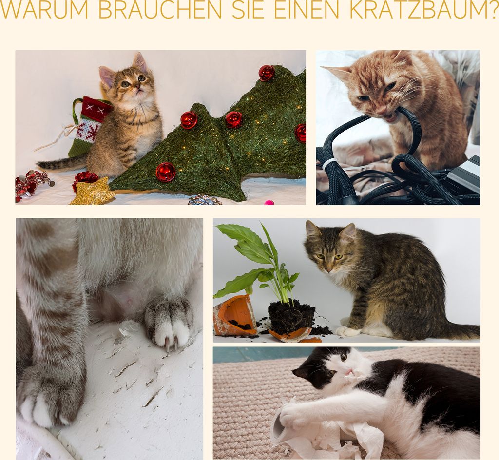 PawHut Kratzbaum Deckenhoch höhenverstellbar, stabiler Produktbild 7