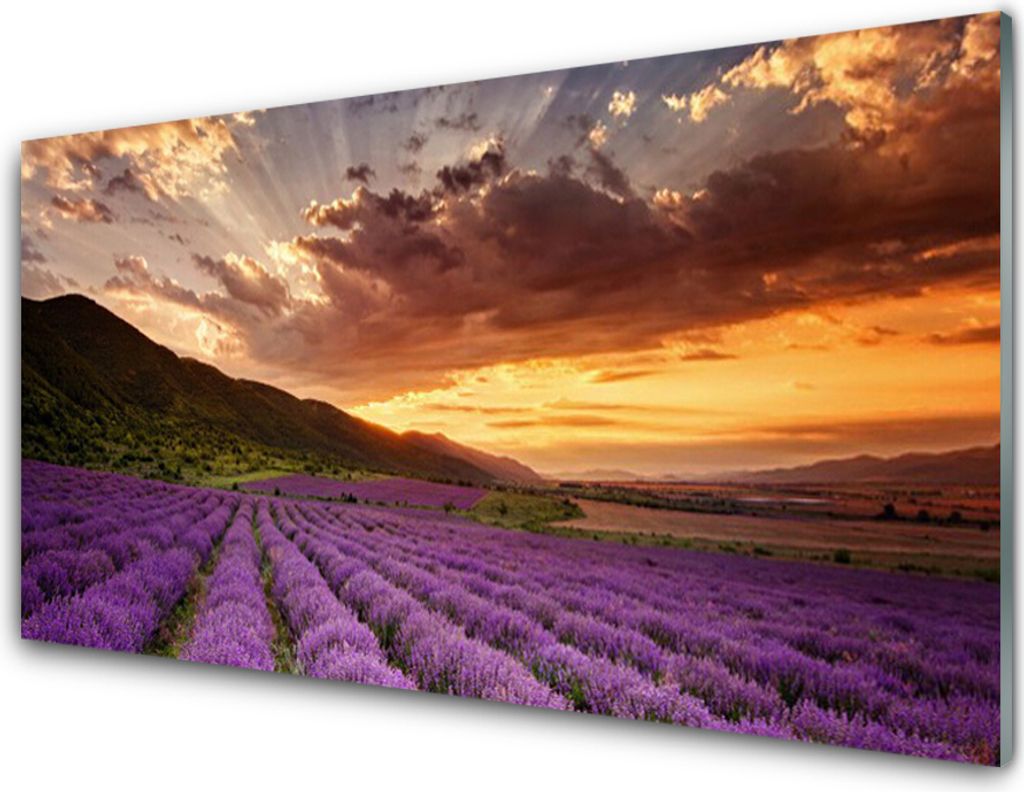 Küchenrückwand aus Glas 100x50cm Spritzschutz Gebirge Wiese Blume Landschaft