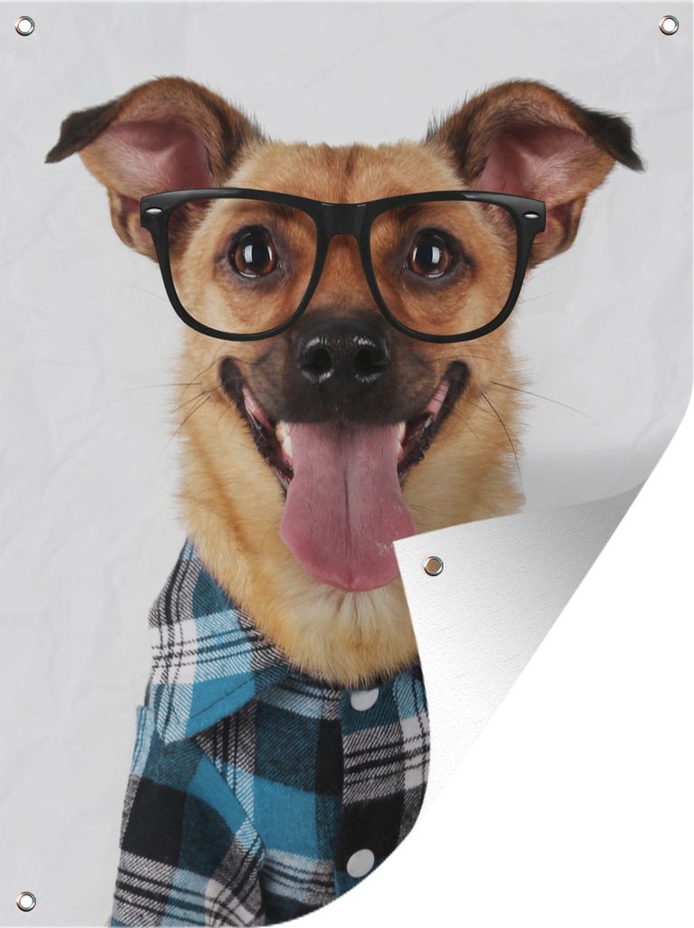 MuchoWow 30x40 cm Outdoor-Poster Gartendeko Sichtschutz Garten Poster für den Garten Hund - Bluse - Brille - Hipster