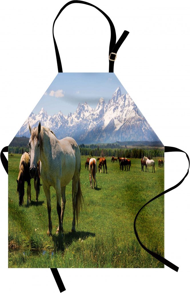 ABAKUHAUS Nationalparks Kochschürze, Reiter-Design Snowy Idyllische Berggipfel Arabian Horse Kunstdrucke, Farbfest Höhenverstellbar Waschbar Klar...