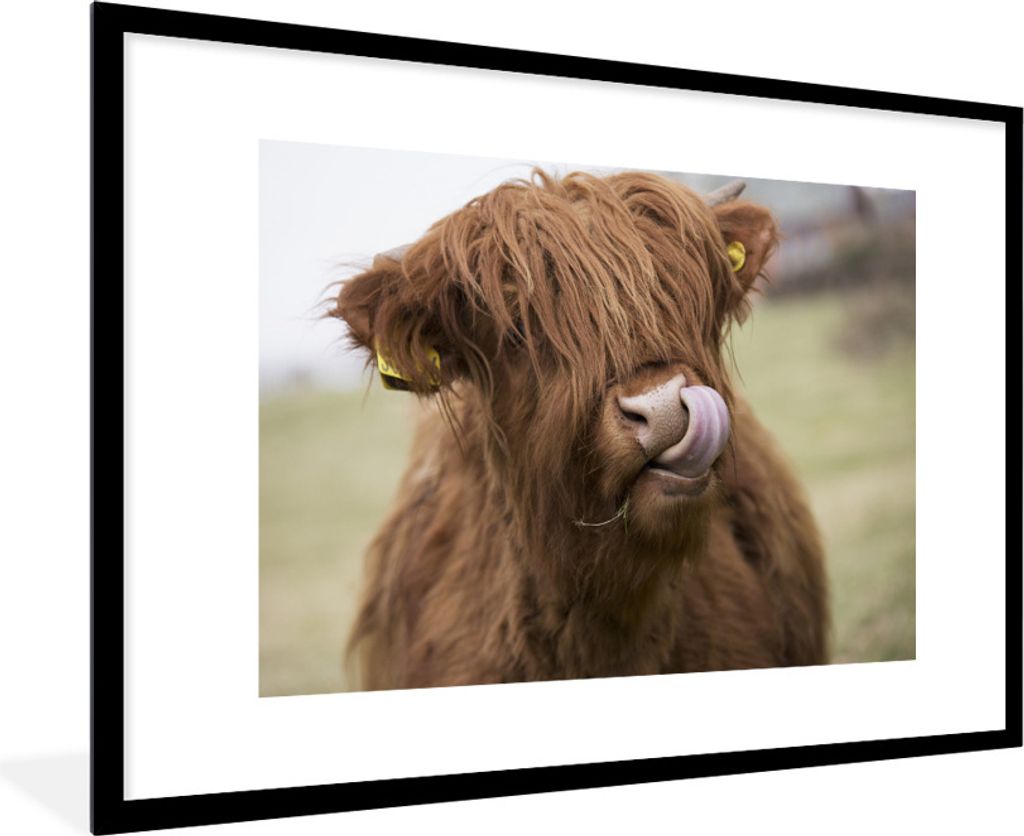 MuchoWow® Gerahmtes Poster Schottischer Highlander - Produktbild 