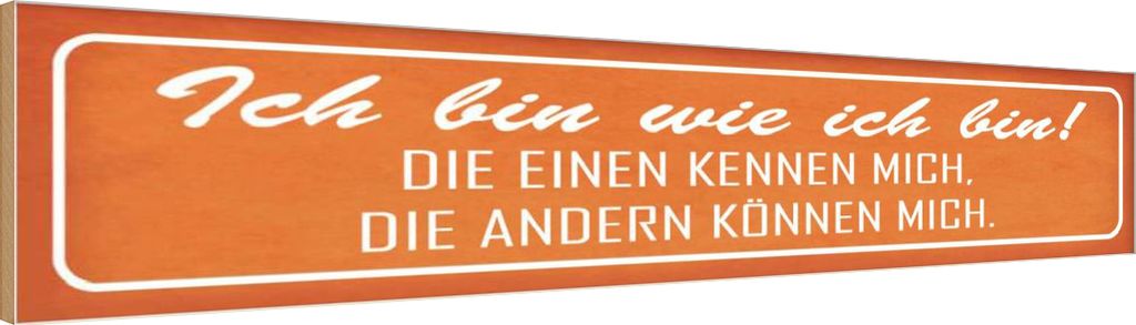 vianmo Holzschild 10x46 cm ich bin wie die einen Spruch Zitat