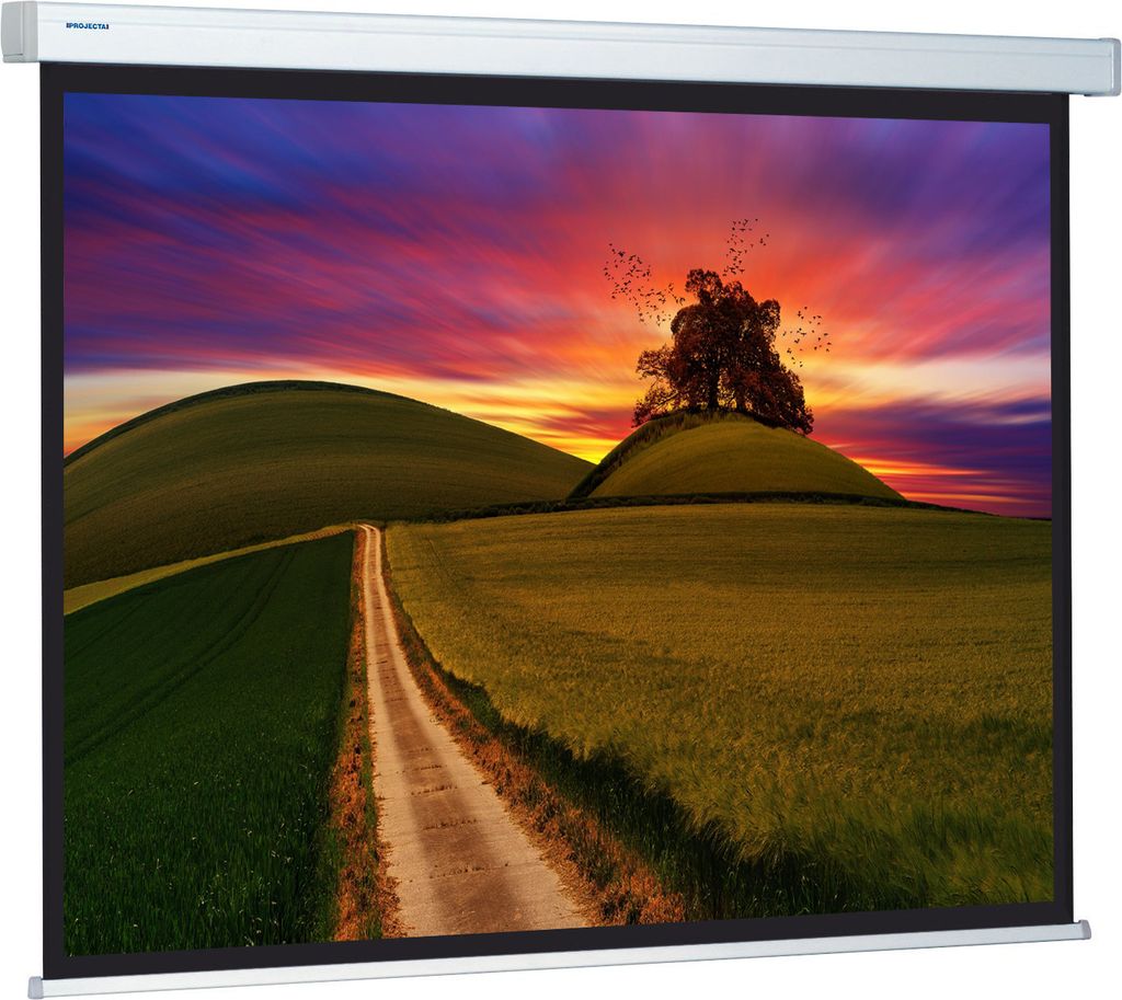 16:9 DELUXX Professional Proscreen Beamer Rolloleinwand 220 x 128 cm (210x131)cm (15394)