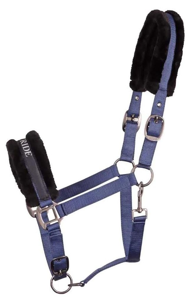 Harry ́s Horse Lyrics Quotes Halfter Blau Full Blau Full