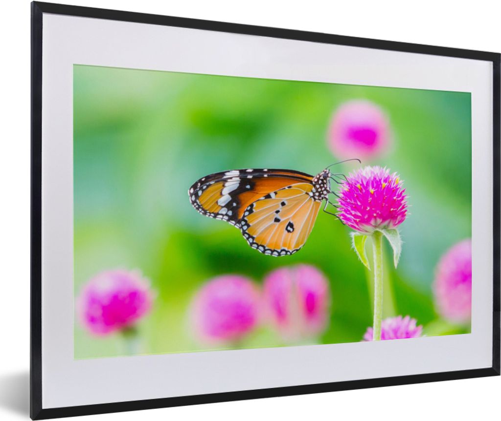 MuchoWow Gerahmtes Poster Landleben - Schmetterling - Distel - Blume 60x40 cm - Poster mit Schwarzem Bilderrahmen Wandposter Rahmen Foto Bilder -...