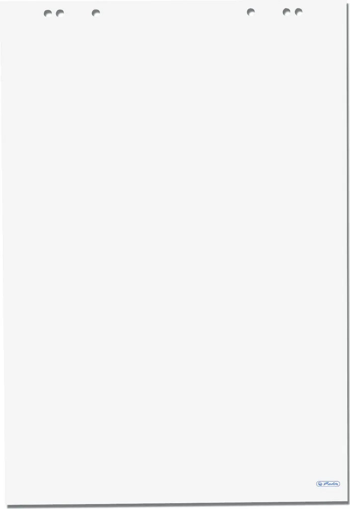 Papier pour chevalet de conférence blanc 68x99 cm herlitz lot de 5