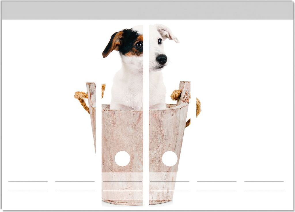 Wallario Ordnerrücken Sticker, selbstklebend für breite Ordner, 6 Stück, Motiv Hunde-Welpe Jack Russel Terrier in einem Holzeimer