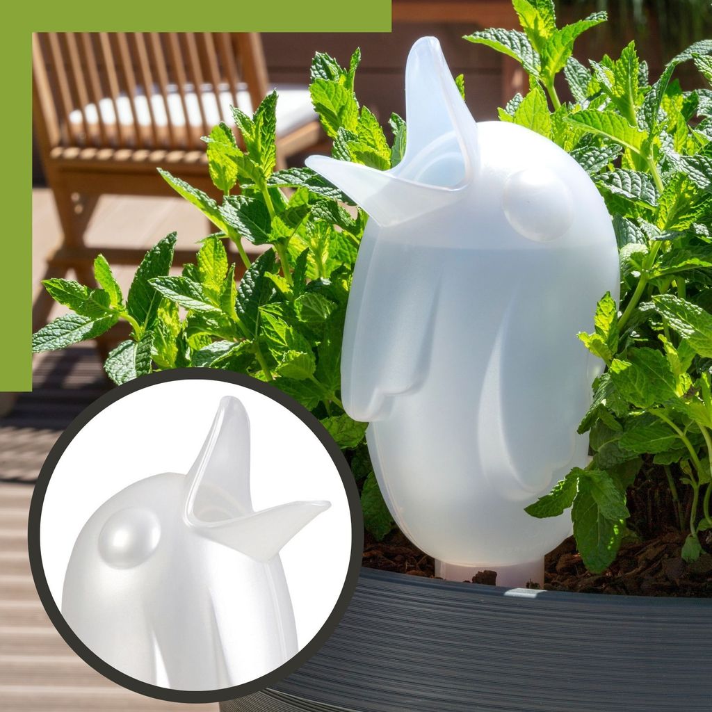 Scheurich Wasserspender Bördy XXL |2er Set Transparent/Grün Produktbild 
