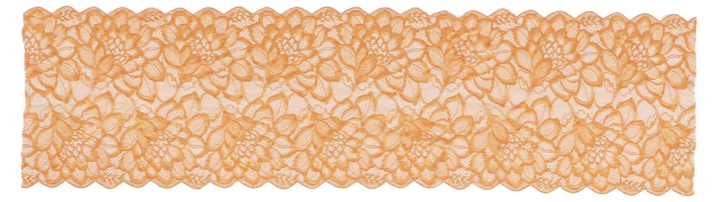 Tissu dentelle marron clair extensible 10 yards largeur 23 cm doux