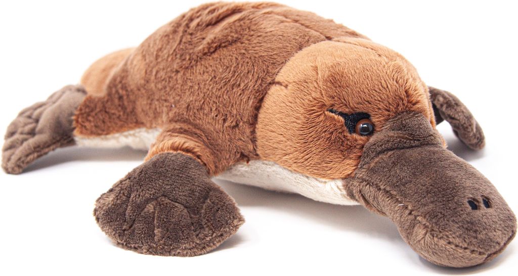 Cornelissen - Doudou - ornithorynque - 28 cm Image du produit 
