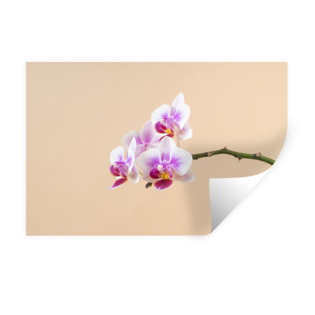 MuchoWow Wandtattoo Wandsticker Wandaufkleber Weiße und rosa Orchidee 90x60 cm Selbstklebend und Repositionierbar - Aufkleber