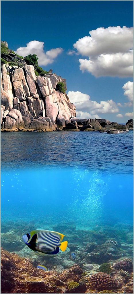 Türtapete Türposter Bunte Fische im Meer - Größe: 93 x 205 cm