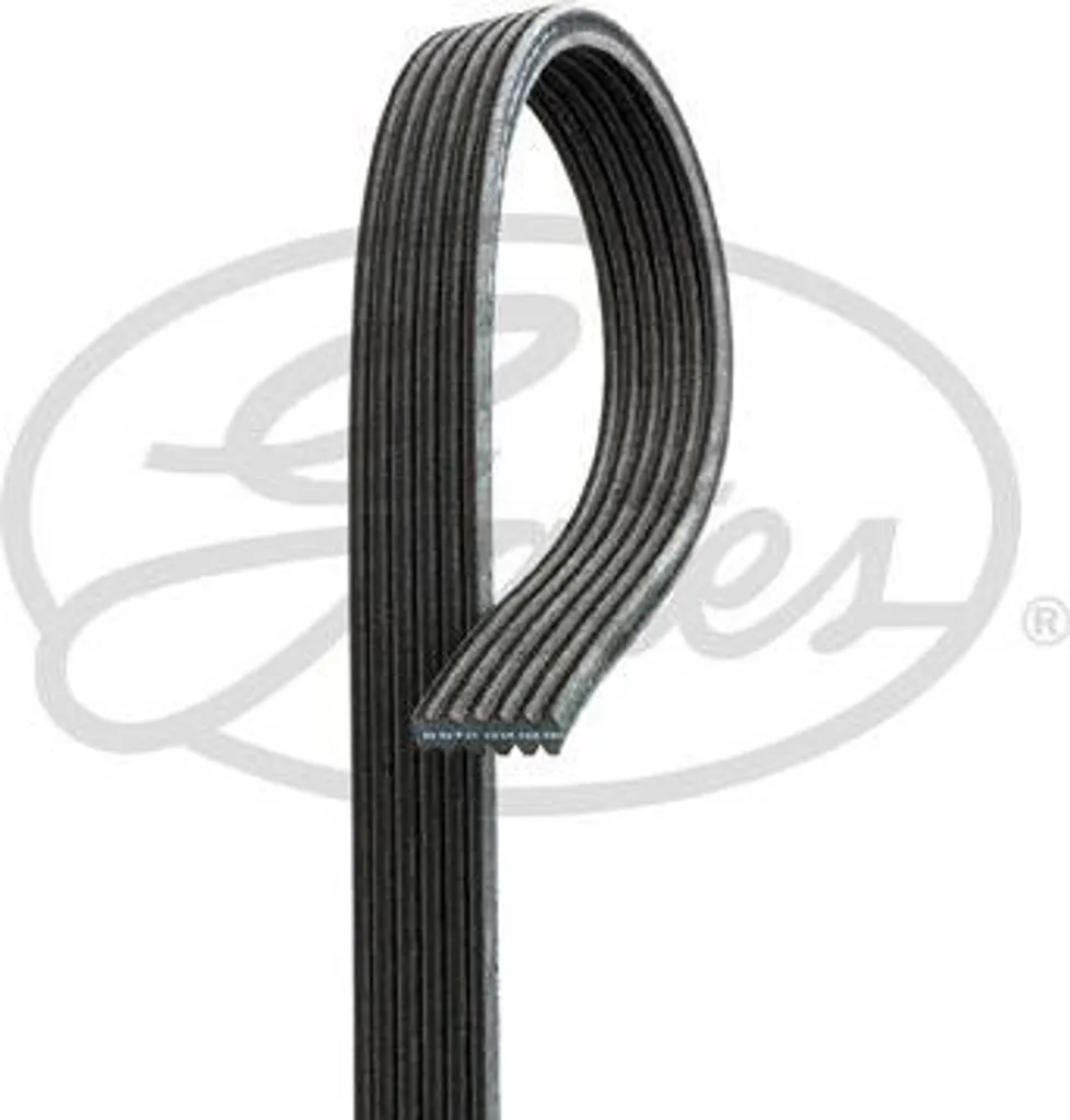 GATES 6DPK1817 Cinghia trapezoidale dentata OE 11288512069 compatibile con Serie 1 E81, Serie 1 E87, Serie 1 E88, Serie 1 E82, Serie 3 E90, Serie 3 E93, Serie 3 E92, Serie 3 E91, Serie 5 E60, Serie 5 E61, X1, X3