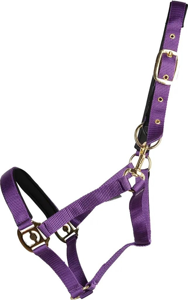 Hy Licol Fieldsafe BZ5833 Violet pour Poney - Sécurité au Paddock