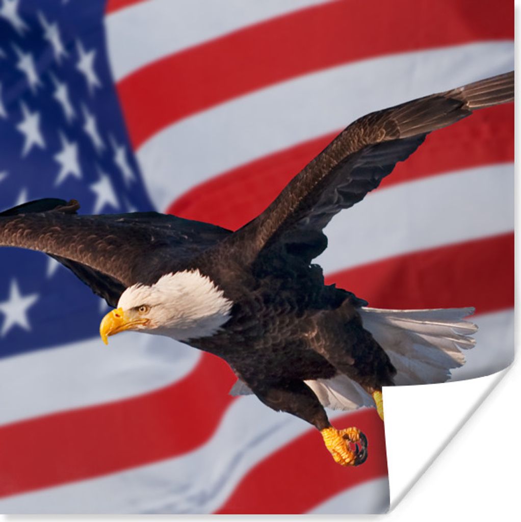 MuchoWow Poster Amerikanischer Weißkopfseeadler vor der amerikanischen Flagge 100x100 cm - Babyzimmer