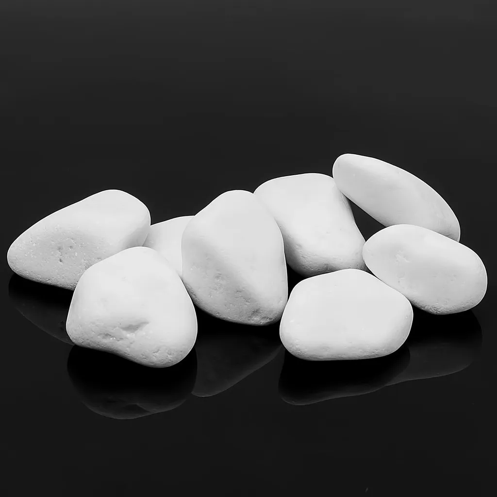 Poêle Moderne au Bioéthanol 65cm pour Salon et Jardin d'Hiver Design