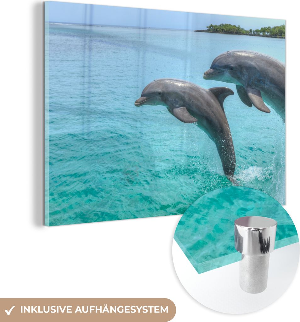 MuchoWow Glasbilder - Bilder auf Wandbild - Foto auf Glas Delfine vor den Bay Islands 120x80 cm Wanddekoration aus Glas - Acrylglasbild - Acrylbild...
