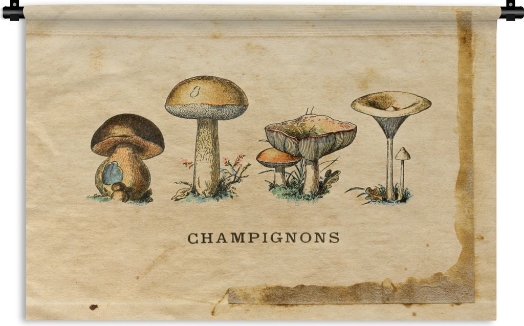 MuchoWow Wandteppich Wandbehang Pilz - Herbst - Natur 90x60 cm Tapisserie Dekoration Wandtuch - Wandskulpturen - Bildteppich