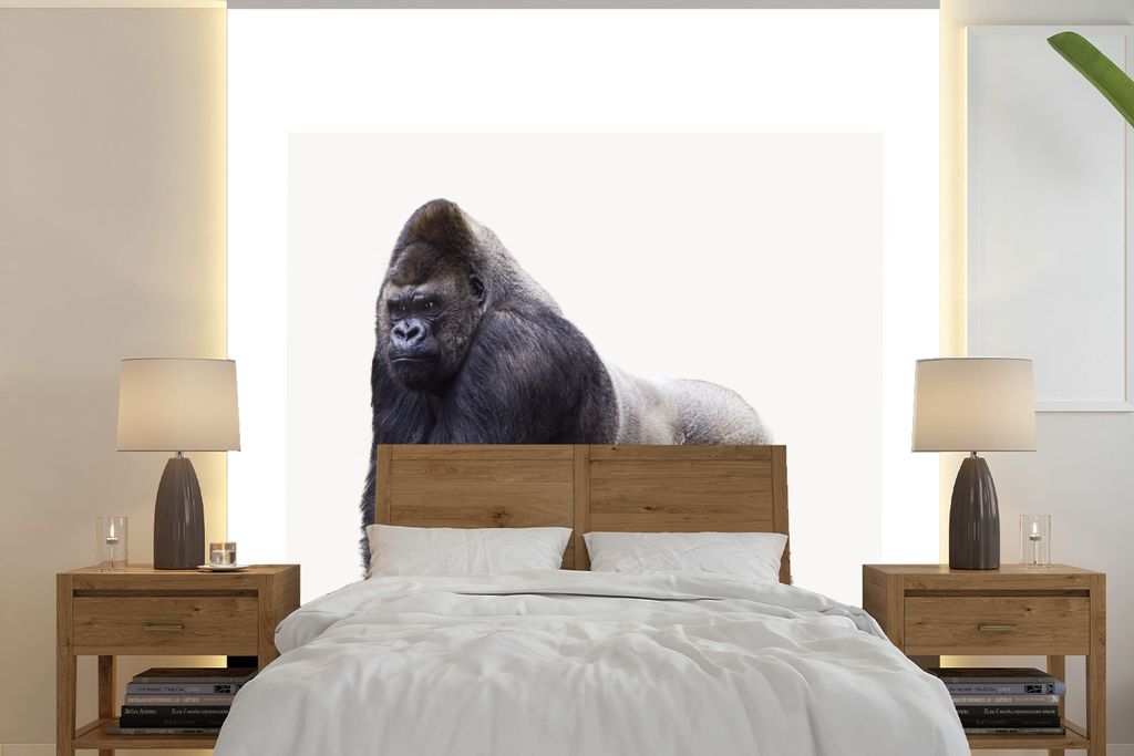 MuchoWow Fototapete für Wohnzimmer oder Schlafzimmer Wandtapete Vinyl Motivtapete Tier - Gorilla - Affe - 280x280 cm - Hintergrundbild