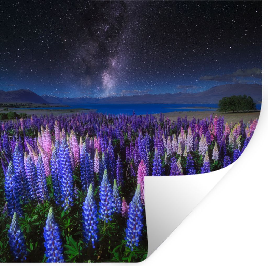 MuchoWow Wandtattoo Wandsticker Wandaufkleber Blumen - Nacht - Lupine - Sternenhimmel - Lila - Natur 80x80 cm Selbstklebend und Repositionierbar ...