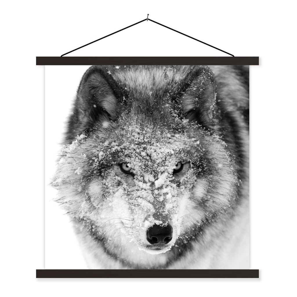 MuchoWow Textilposter Wolf mit verschneitem Kopf in schwarz-weiß 120x120 cm mit schwarzem Rahmen - Aufhängungsset