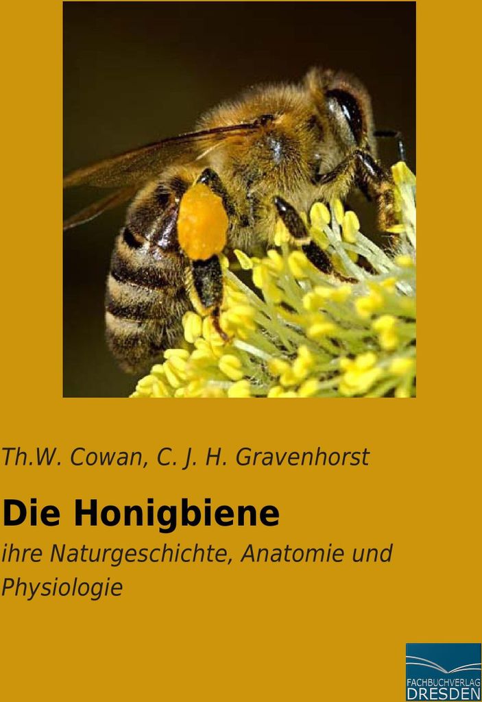 Die Honigbiene