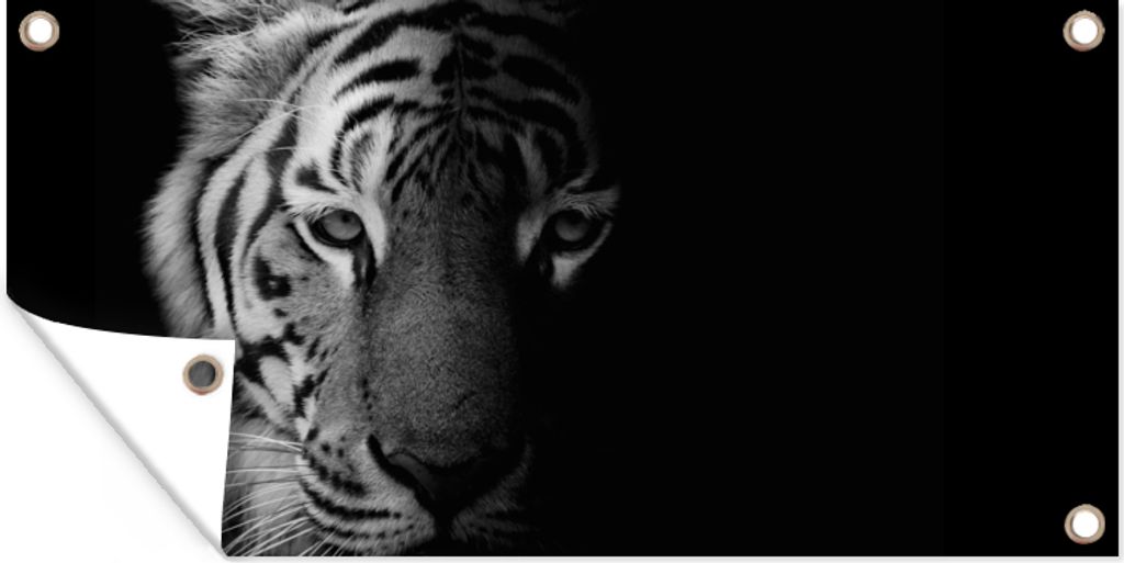 MuchoWow 60x30 cm Outdoor-Poster Gartendeko Sichtschutz Garten Poster für den Garten Tiger - Tiere - Wild - Schwarz - Weiß