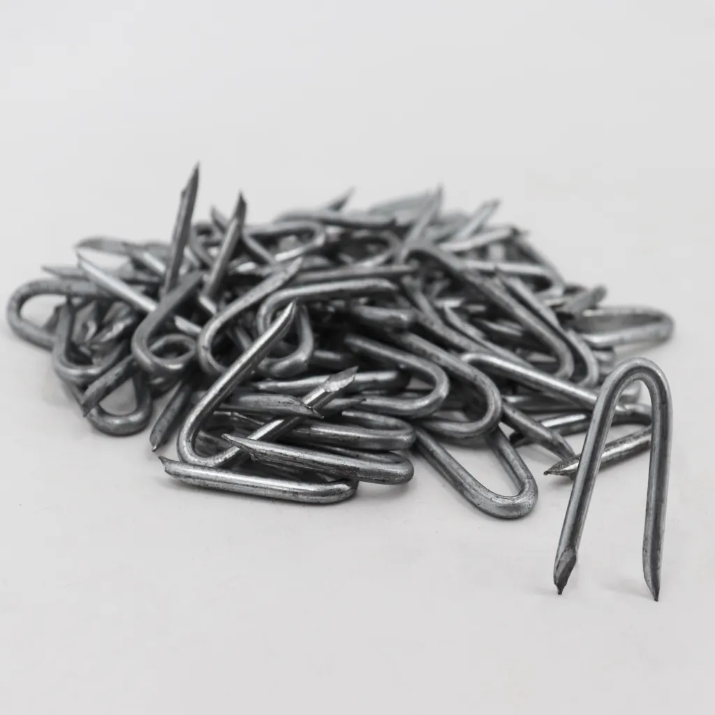Crampons boucles de fil haute résistance 5 kg pour enclos de forêt