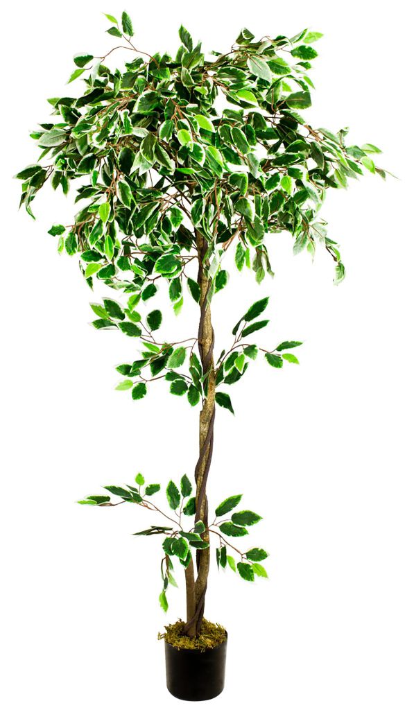 Decovego Künstlicher Ficus Benjamin, Kunstpflanze, 160 cm Produktbild 