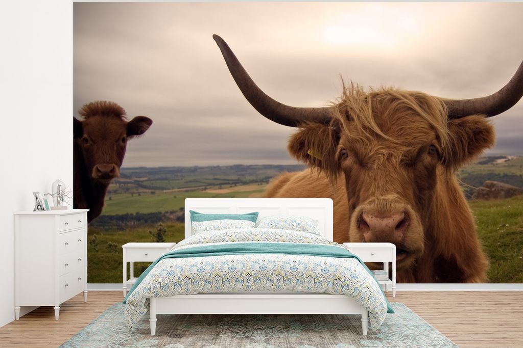 MuchoWow Fototapete für Wohnzimmer oder Schlafzimmer Wandtapete Vinyl Motivtapete Schottischer Highlander - Tiere - Berg - 295x220 cm - Wand Tapete