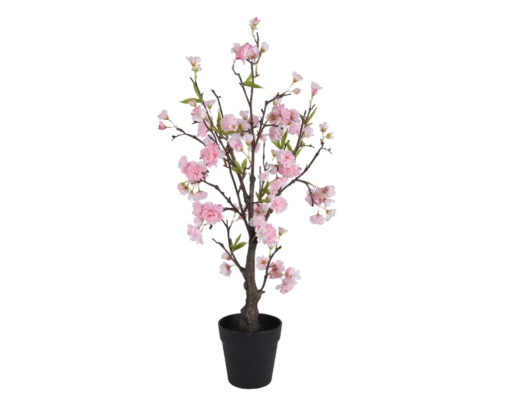 Porta il Giappone a Casa Tua: Albero di Ciliegio Sakura KSD 125 cm