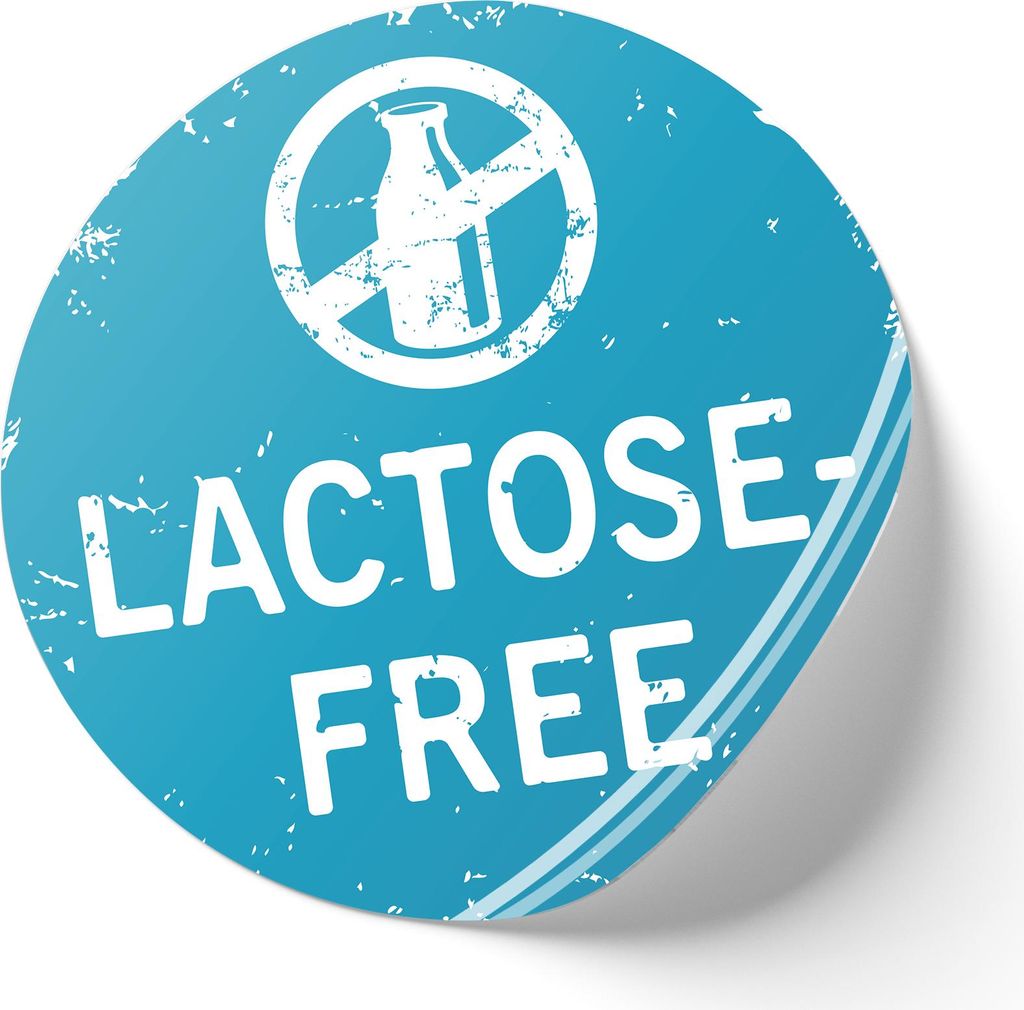 500er Set Aufkleber "lactose-free" rund je 2cm Lebensmittel Kennzeichnung Beschriftung Etiketten f. Küche Gastro Party Catering R002
