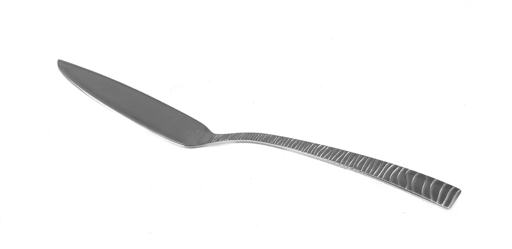 Set 6 Coltelli da Pesce Solex Alexa in Acciaio 18/10 per Ristorazione