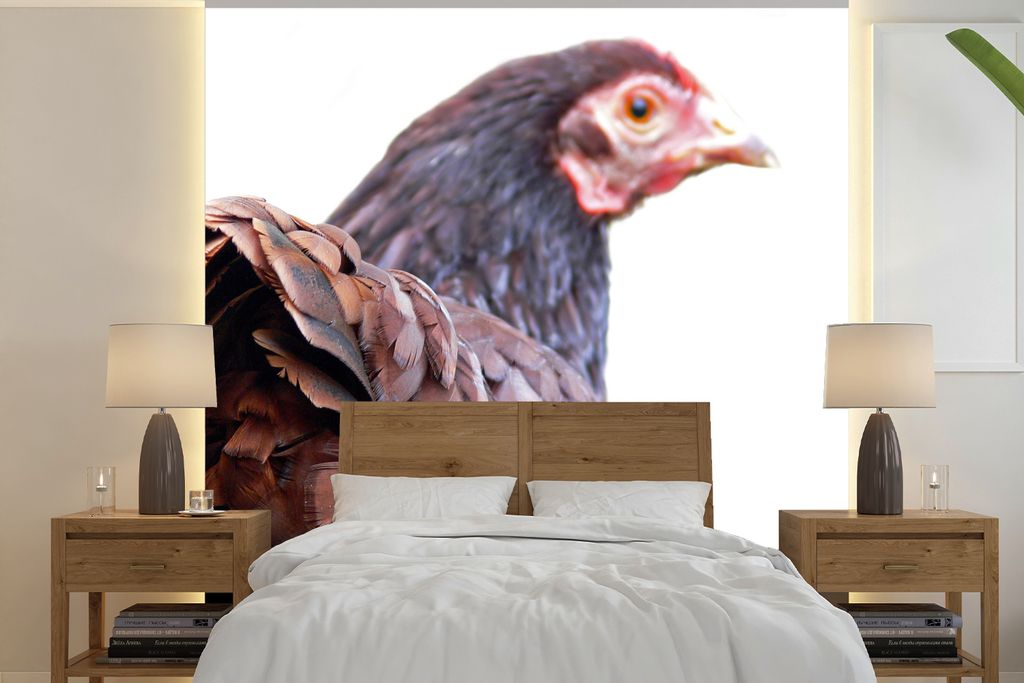 MuchoWow Fototapete für Wohnzimmer oder Schlafzimmer Wandtapete Vinyl Motivtapete Rückansicht eines Huhns - 260x260 cm - Papiertapeten