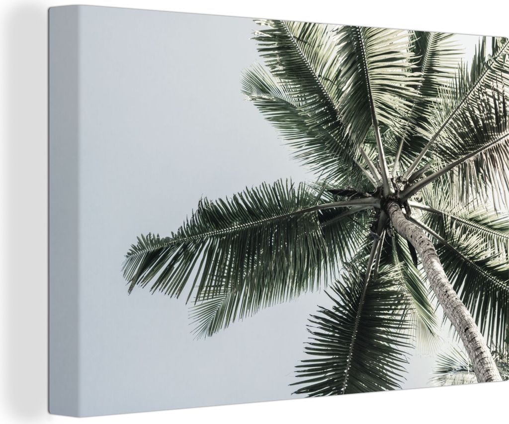 OneMillionCanvasses - Leinwandbilder - 150x100 cm, Palme - Tropisch - Sommer, Wandbilder Kunstdruck Wanddekoration - Foto auf Leinwand - Gemälde...
